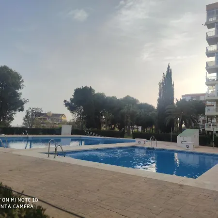 Aguila - Costa Del Sol Benalmadena